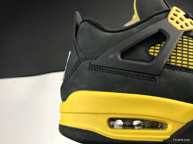 Retro Thunder 4 Air Jordan 308497-008 1010